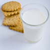 Milk Biscuit
